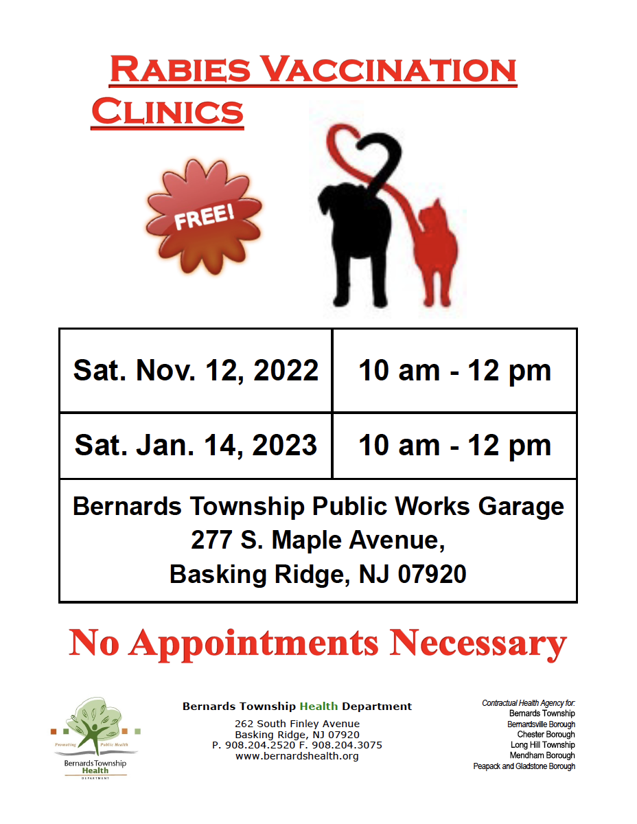 rabies clinic flyer